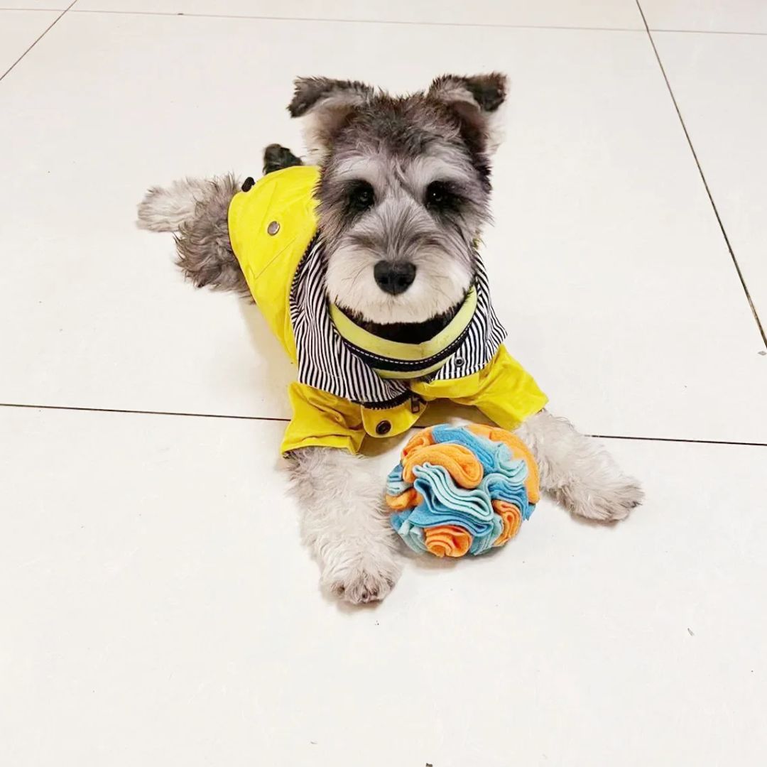 CuddlePet™ - Hushly Muzzlemop