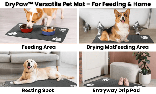 CuddlePet™ DryPaw – Stops spills. Stays put. Washes well.