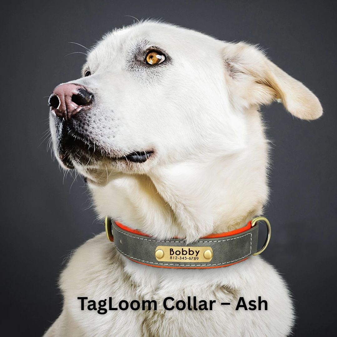 CuddlePet™ - Tenderly TagLoom