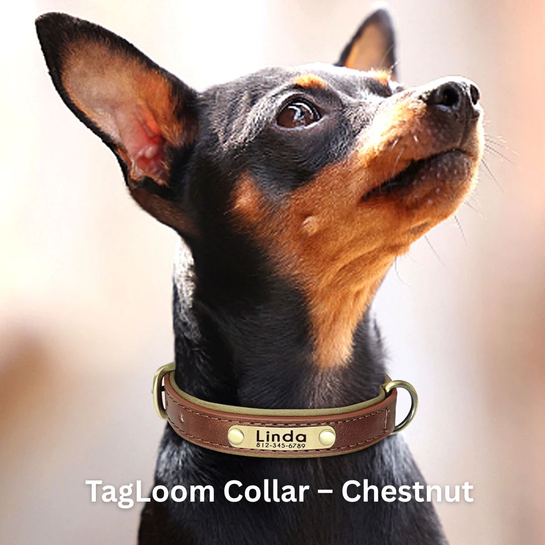 CuddlePet™ - Tenderly TagLoom