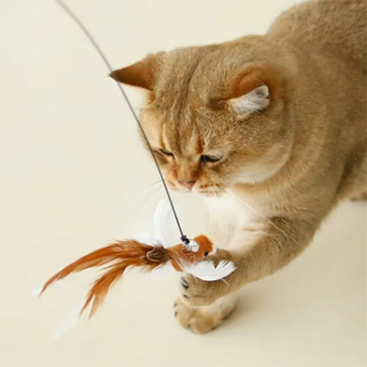 CuddlePet™ WingChase – For curious cats who love the thrill of the chase.