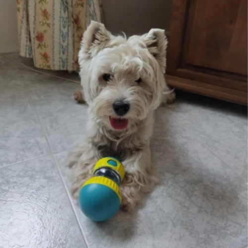 CuddlePet™ TreatPod Ultimate Play and Snack Toy!