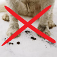 CuddlePet™ Pawfect Cleaner Foam