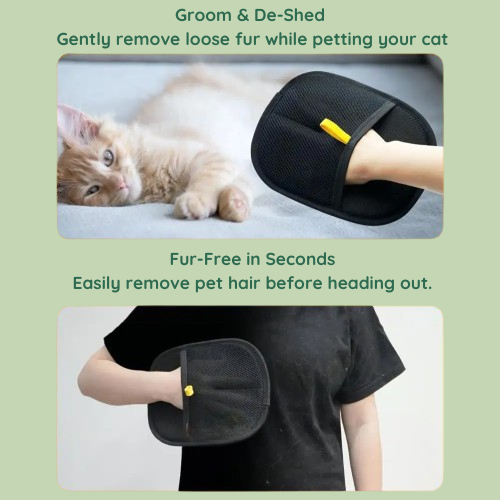 CuddlePet™ FurZap - Pet hair gone. Calm restored.