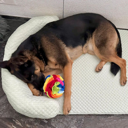 Large German Shepherd resting on soft mint green calming dog bed – Hushly Haven by CuddlePet