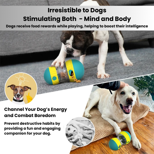 CuddlePet™ TreatPod Ultimate Play and Snack Toy!