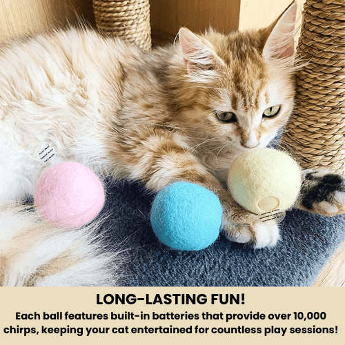 CuddlePet™ Catnip Play Ball – Interactive sound toy