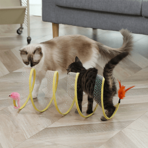CuddlePet™ PurrTunnel  Endless fun for your cat!