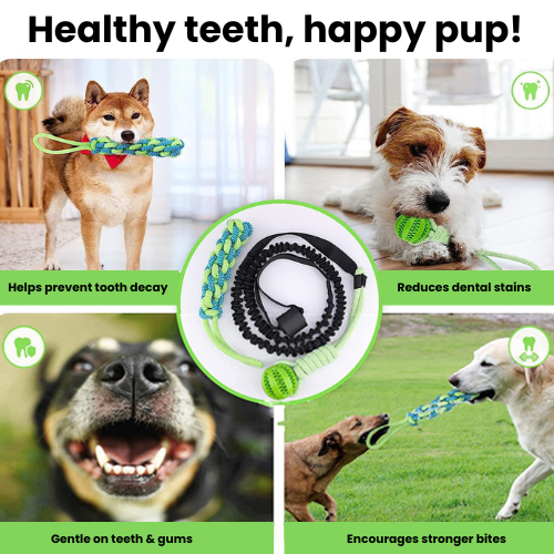 CuddlePet™ Tugger Play together! Indoors & outdoors